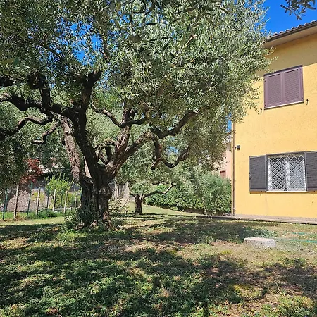Bed and Breakfast Mariposa Monterosi