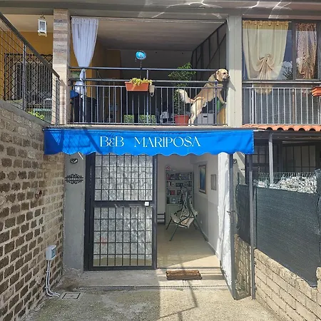 Bed and Breakfast Mariposa Monterosi